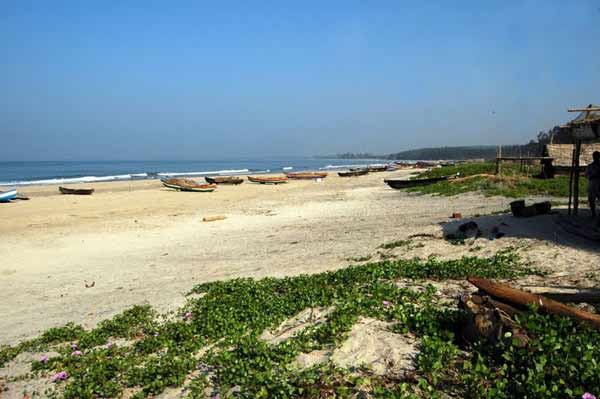 Tarkarli Beach: Popular Tourist Attraction In Maharashtra | Mumbai Orbit